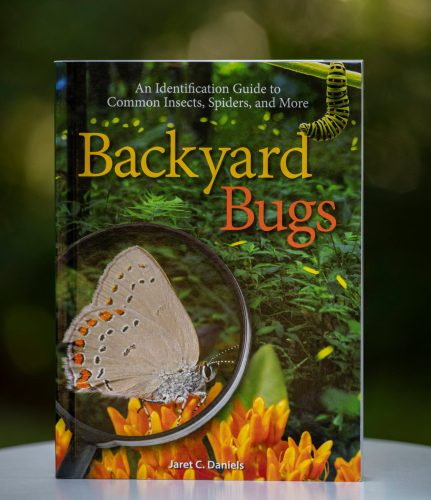 book cover with magnifying glass and butterfly on it