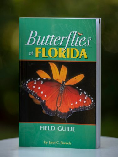 book cover with large butterfly on it