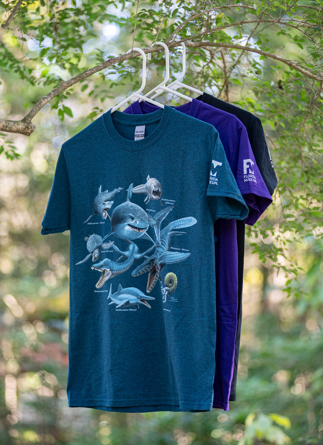 Science & Nature Tshirts Shopping