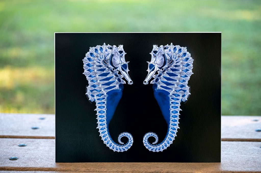 print with images of a scan of a seahorse from the Inner Beauty exhibit