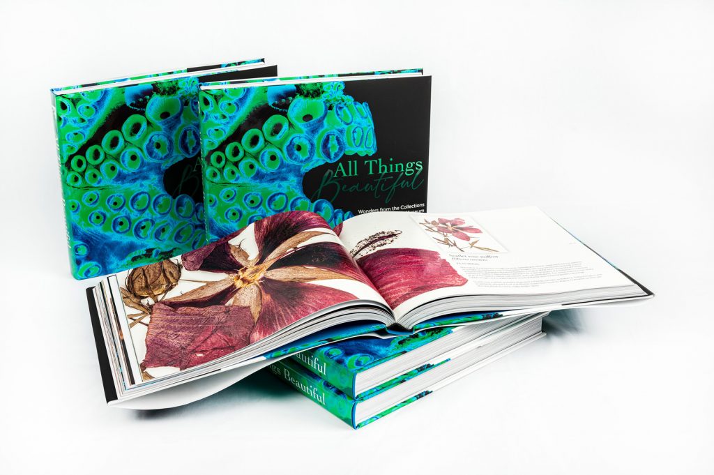 five copies of the book All things beautiful, two books are standing behind a stack of three book, the top book is open to show a flower specimen