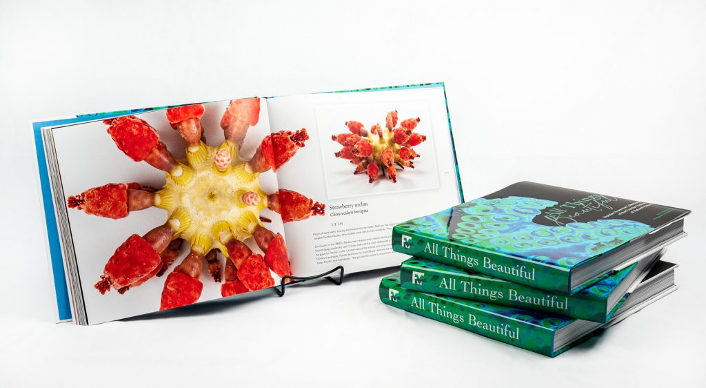 four copies of the book 'All things beautiful' thee books are in a stack showing the green spin, the fourth book is open to show an image of a Strawberry Urchin