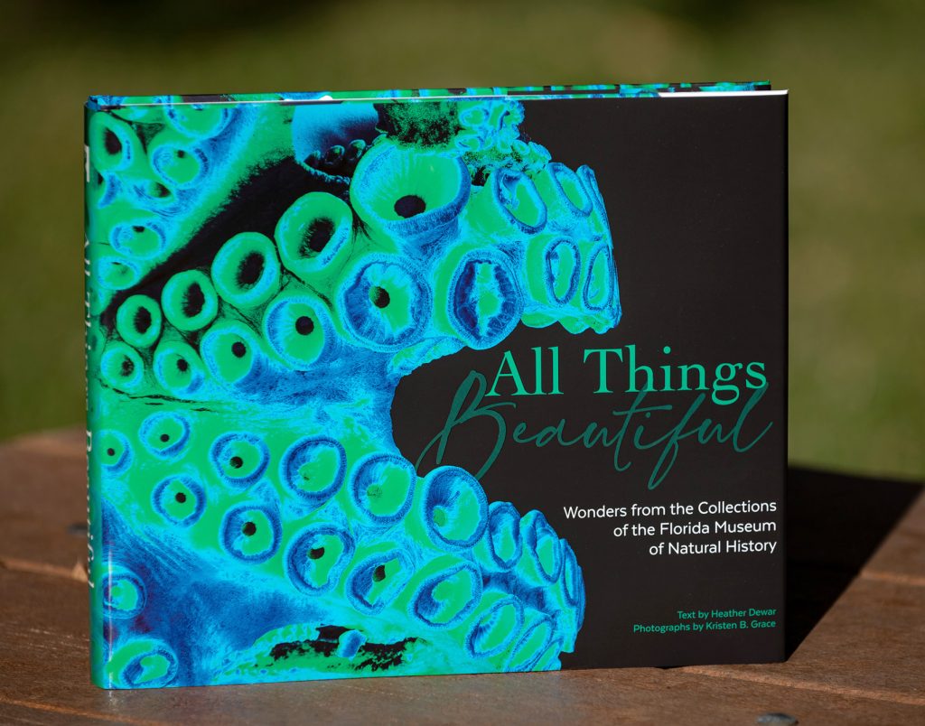 the cover of a book with a colorful texture like octopus suckers and the title All Things Beautiful