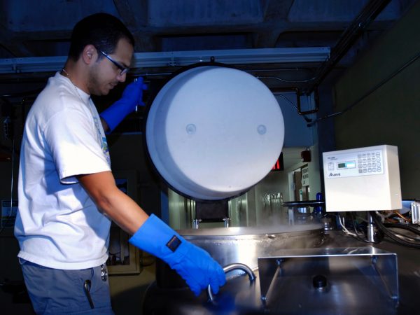 Genetics Resource Repository research assistant Angelo Soto-Centeno removes tissues from the freezer. (c) Photo by Jeff Gage.