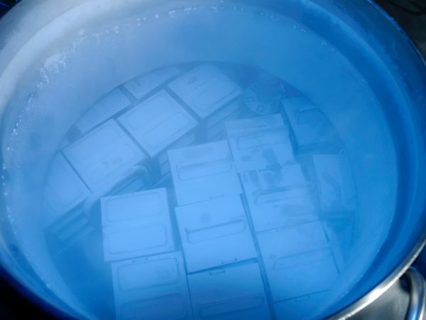 This image shows racks of tissue samples stored in the freezer. (c) Photo by Jeff Gage.