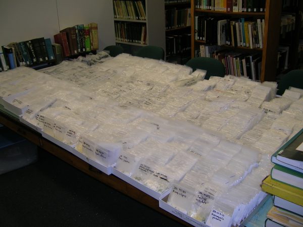 Plant tissues collected in the field are stored in bags containing silica gel. (c) Photo by Lorena Endara.