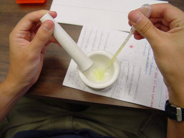 Process of DNA extraction - First part. (c) Photo by Lorena Endara.