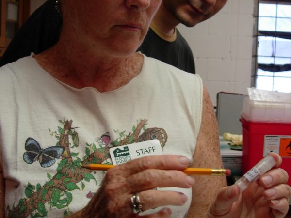Tissue collection for the Genetics Resources Repository. (c) Lorena Endara photo