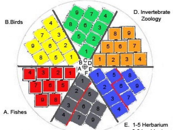 This color-coded diagram shows how tissue samples are organized in the freezer and identified by Museum division. (c) Photo by Jeff Gage.