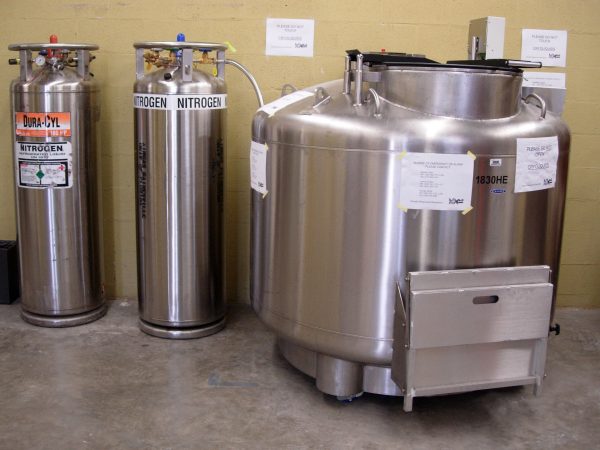 The Genetics Resource Repository liquid nitrogen freezer is located in Dickinson Hall. (c) Photo by Jeff Gage.