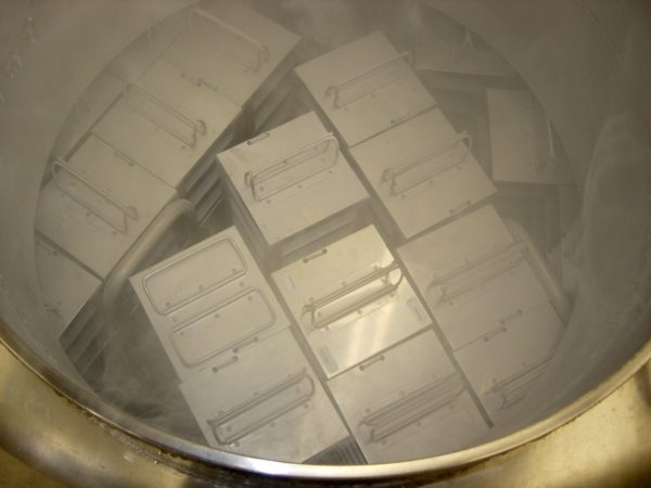 Liquid nitrogen vapor rises from the freezer after the lid is opened and moments before the 'fog' becomes so thick it obscures the samples stored below. (c) Photo by Jeff Gage.