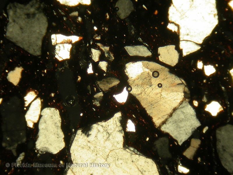 petrographic thin section