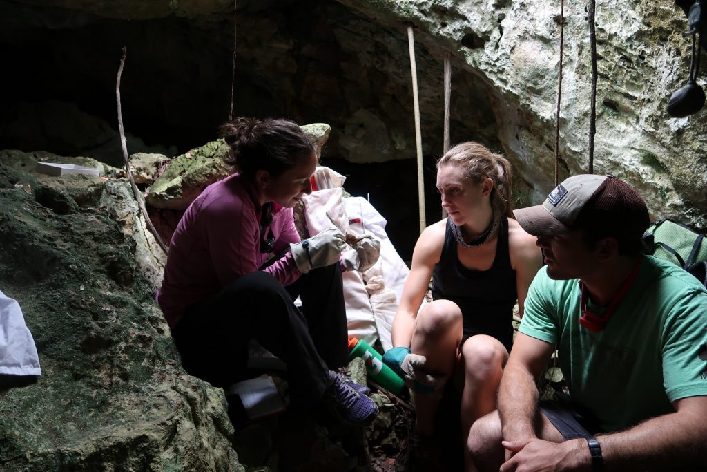 people in cave studying bats