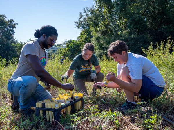 https://www.floridamuseum.ufl.edu/events/blog/rewilding-the-museum-with-thousands-of-native-plants/