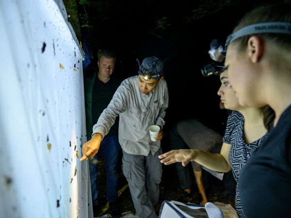 Akito Kawahara, Lepidoptera, Ordway-Swisher Biological Station, PBS filming, Place, Subject, collections, ordway, staff