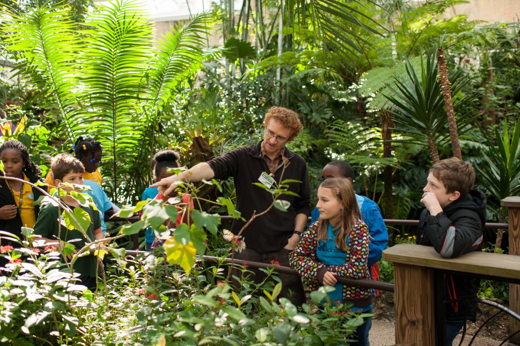 an adult points out butterflies to a group of children in an enclosed jungle-like exhibit