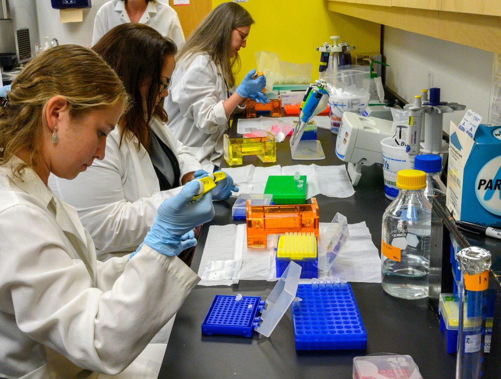 several people in lab coats and gloves hold scientific devices at a lab station covered in vials and bottles and trays