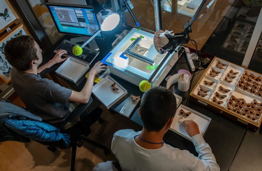 viewed from above as two people handle butterfly specimens at a computer scanning work station