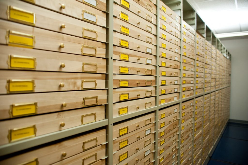 a long row of shelves full of shallow wooden drawers