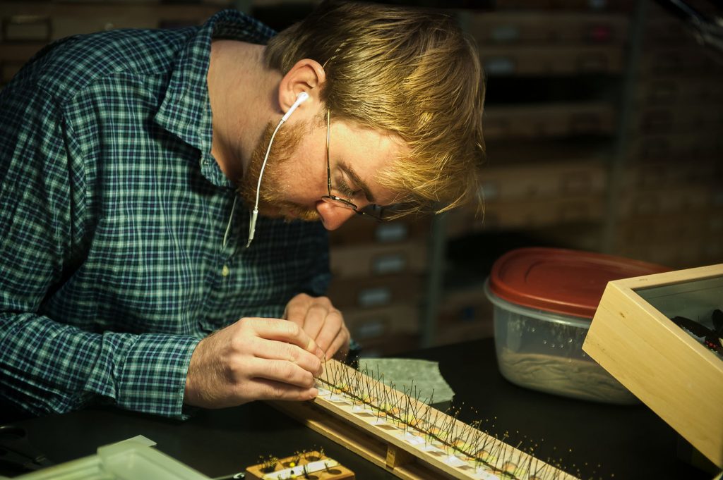 a person under a bright light leans over their work on a slender tray covered in thin metal pins