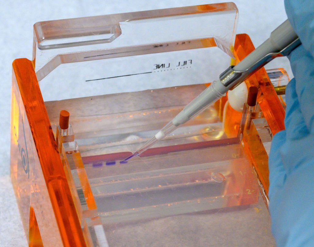 a long, pointed scientific tool seems to insert a small amount of colored material into a block of clear gel