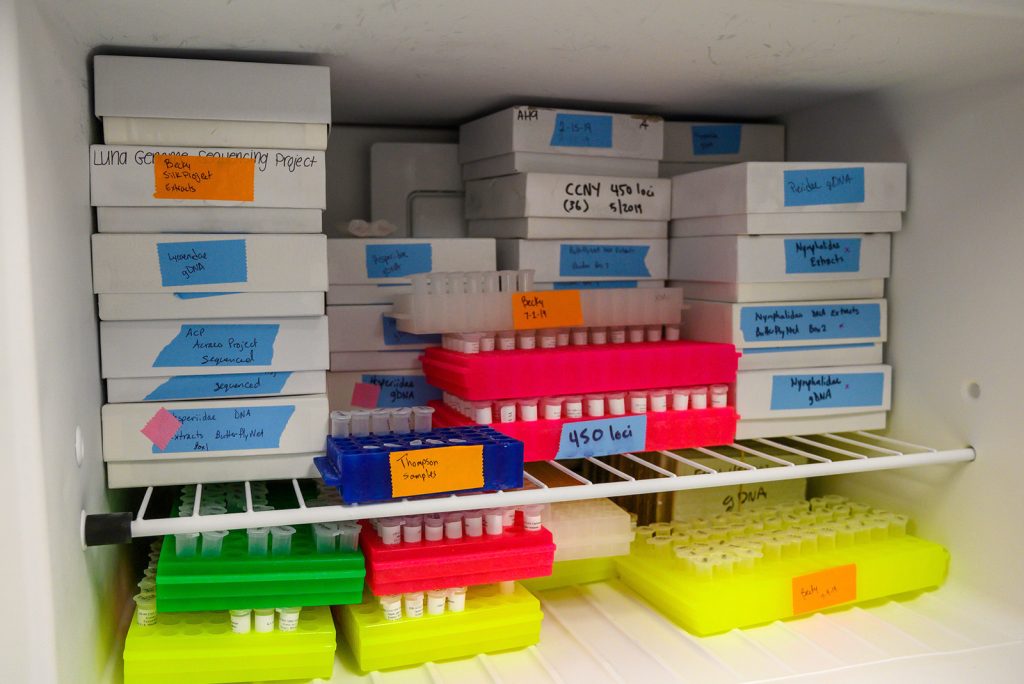 a freezer space fill of trays and boxes labeled with black marker on blue tape