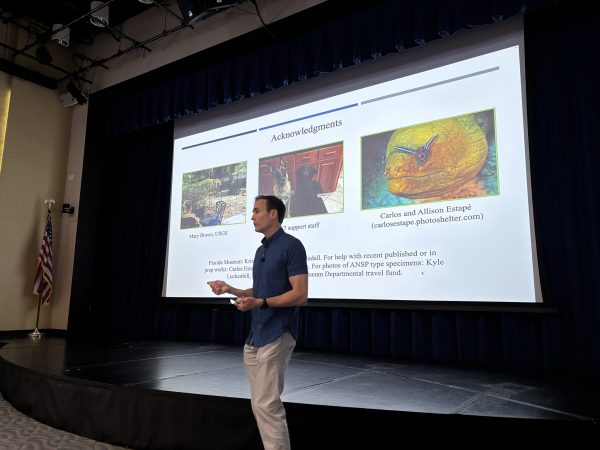 Fig 5 author presents