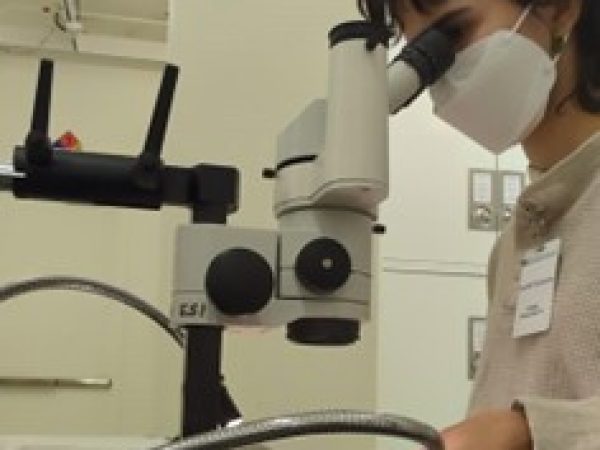 Gabriella Gaarder looking into a microscope.