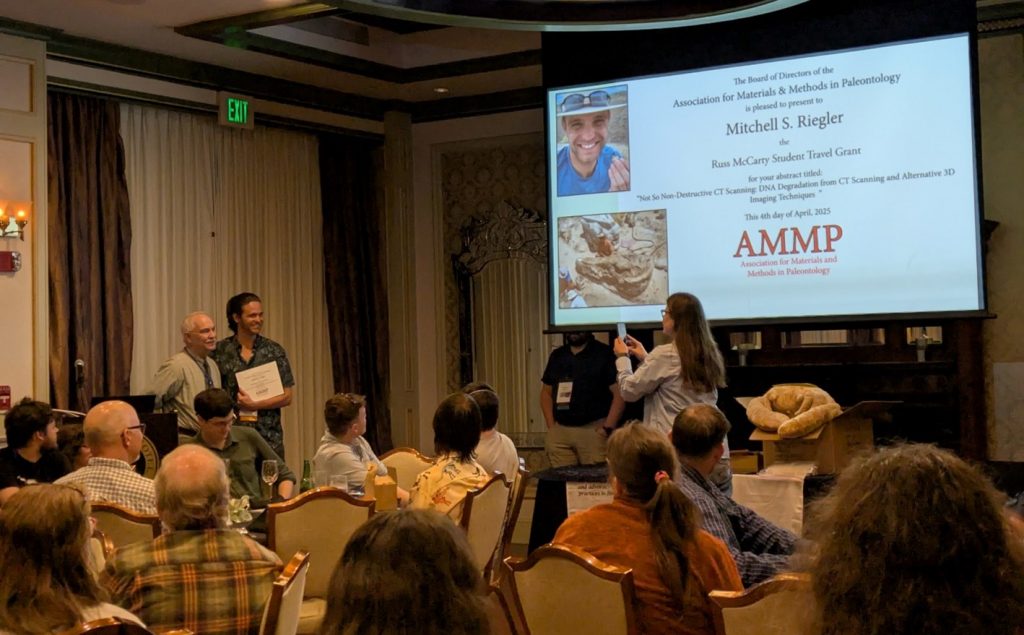 Award being received at the AMMP