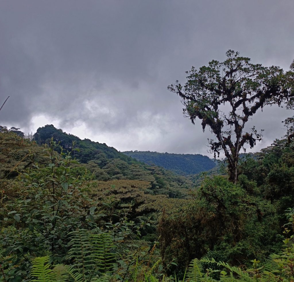 Field work site in Ecuador