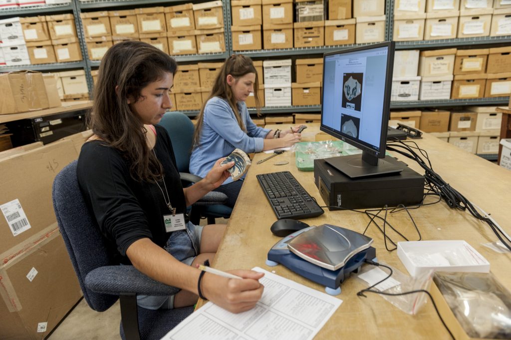 two people are sitting at a work station in a storage room looking at ceramics pieces and cataloging them on paper and into a computer