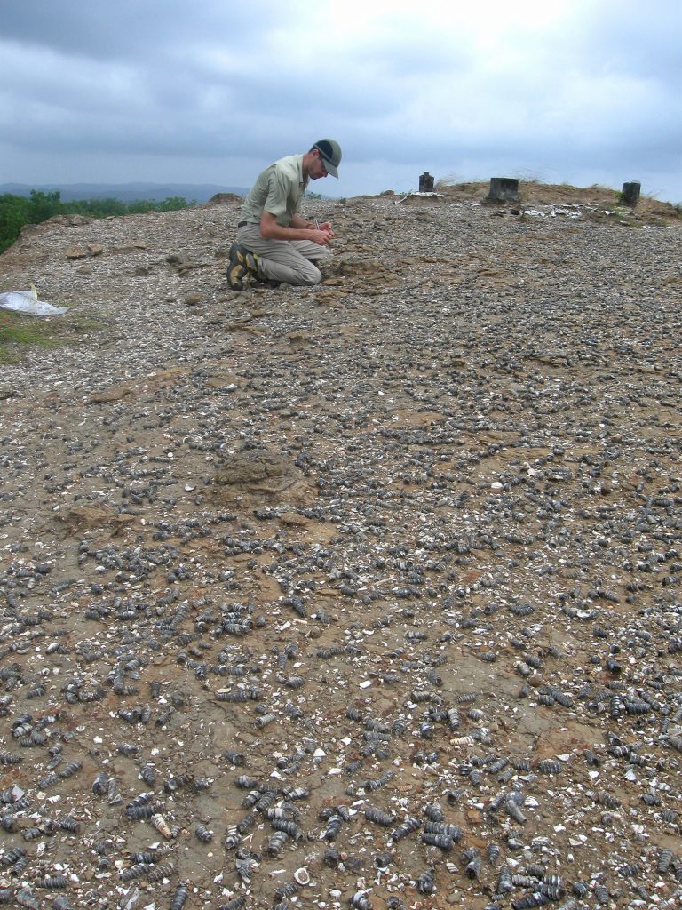 there is a person in outdoors clothing kneeling at the top of a long sandy slope covered in many small dark shells with a cloudy sky overhead