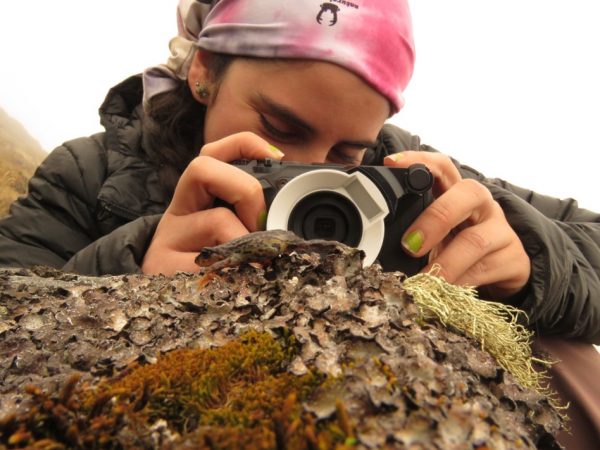 Herpetologist with a camera taking a photo of a tiny frog