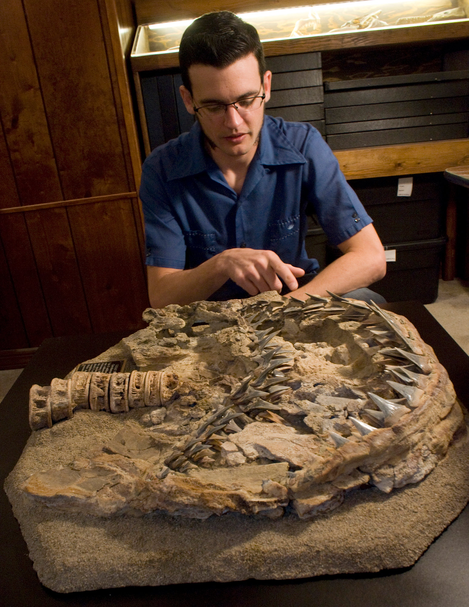 Dana Ehret examines shark skull