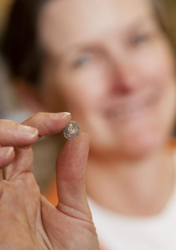 Catfish ear bone