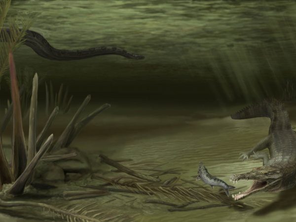 croc and titanoboa