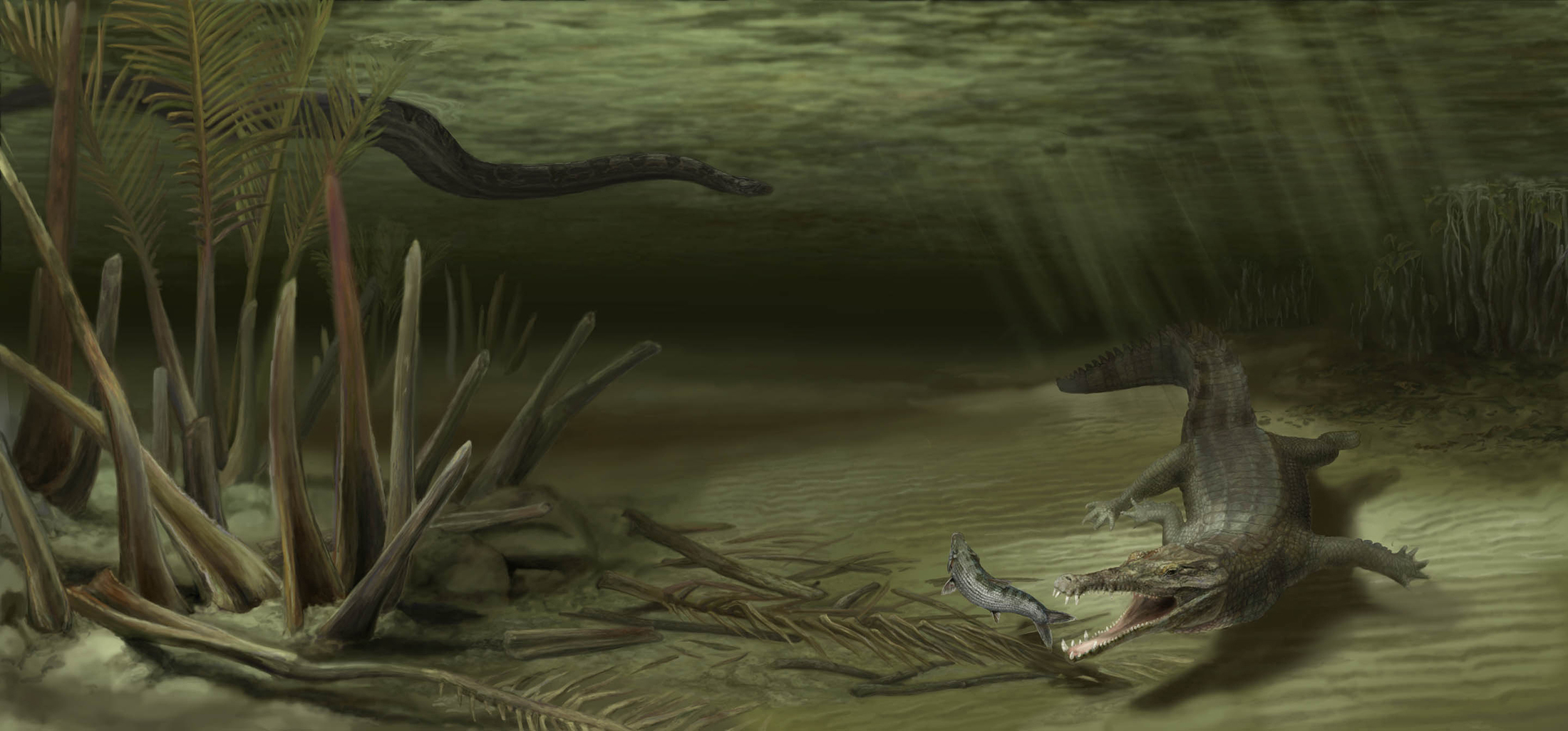 croc and titanoboa