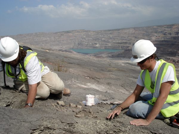 Digging for fossils