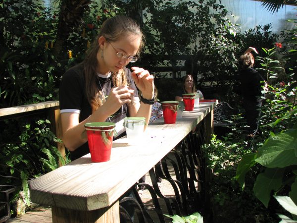 Alexandra preparing bait station