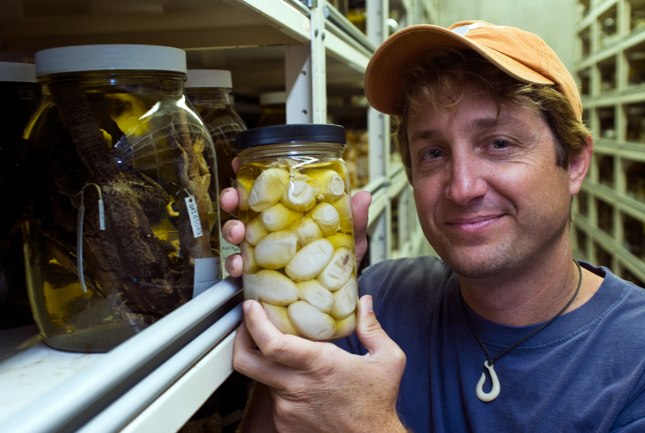 Can You Eat Iguana? Discover the Forbidden Delicacy!