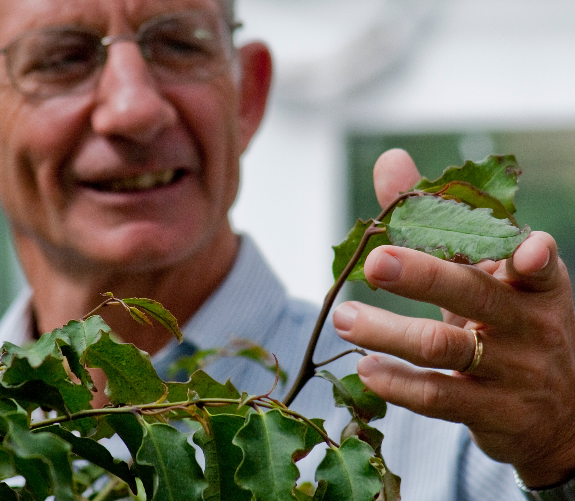 Doug Soltis with Amborella