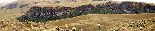 Northern Ecuador