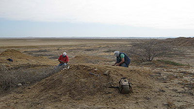 Digging for fossils