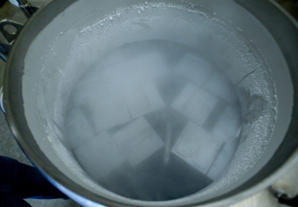 cryogenic freezer