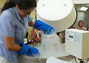 tissue samples in cryogenic freezer