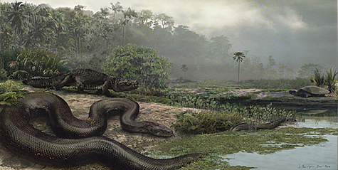 Titanoboa illustration