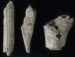 bone shaving artifacts