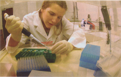 Haas preparing samples