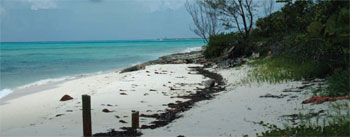 beach on island