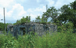 old overgrown building